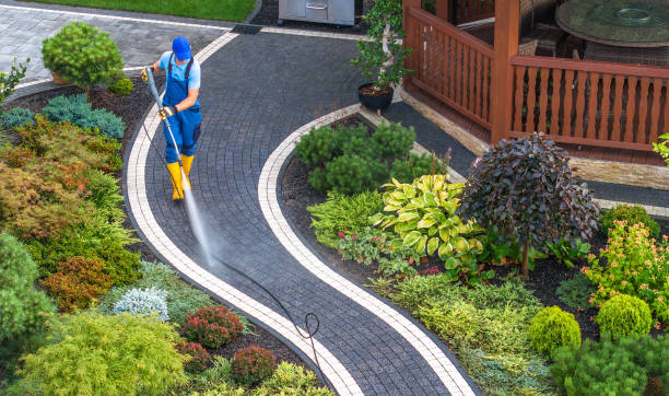 Best Roof Power Washing Services  in Canton, IL